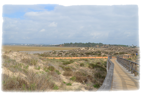 4.5km of boardwalks