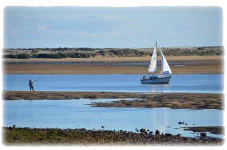 Fishing and sailing on the estuary