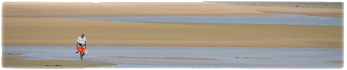 Collecting cockles and razorfish on the estuary when the tide is out