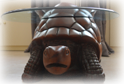 Tortoise Table